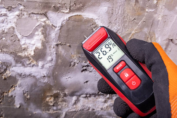 Best Mold Testing  in Maysville, OK