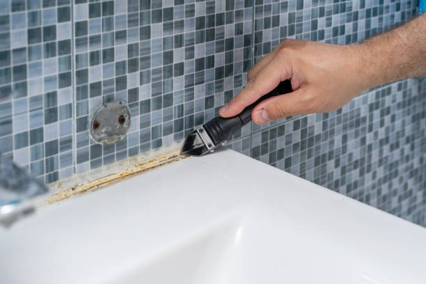 Best Best Mold Removal Companies  in Maysville, OK