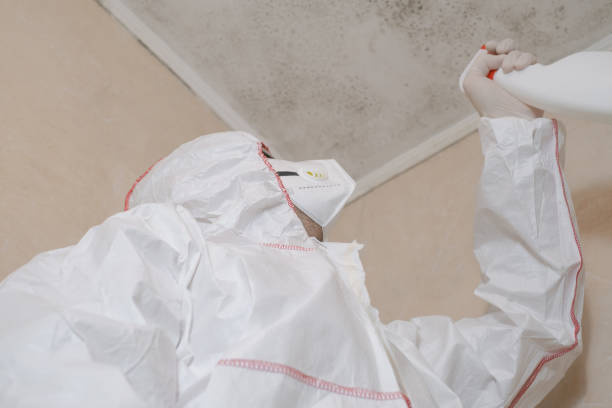 Best Toxic Mold Removal  in Maysville, OK